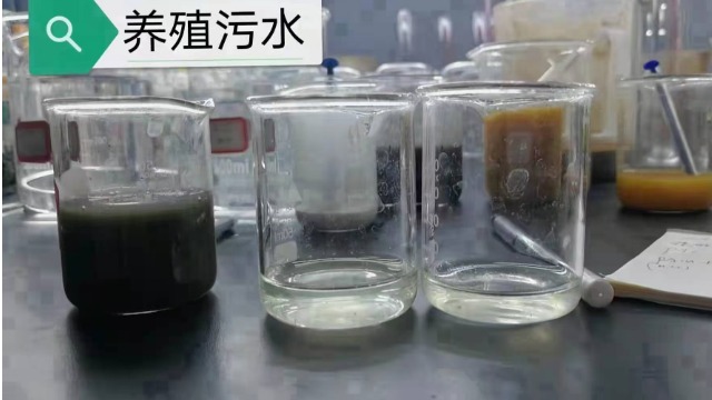 陽離子聚丙烯酰胺有何特性及作用？